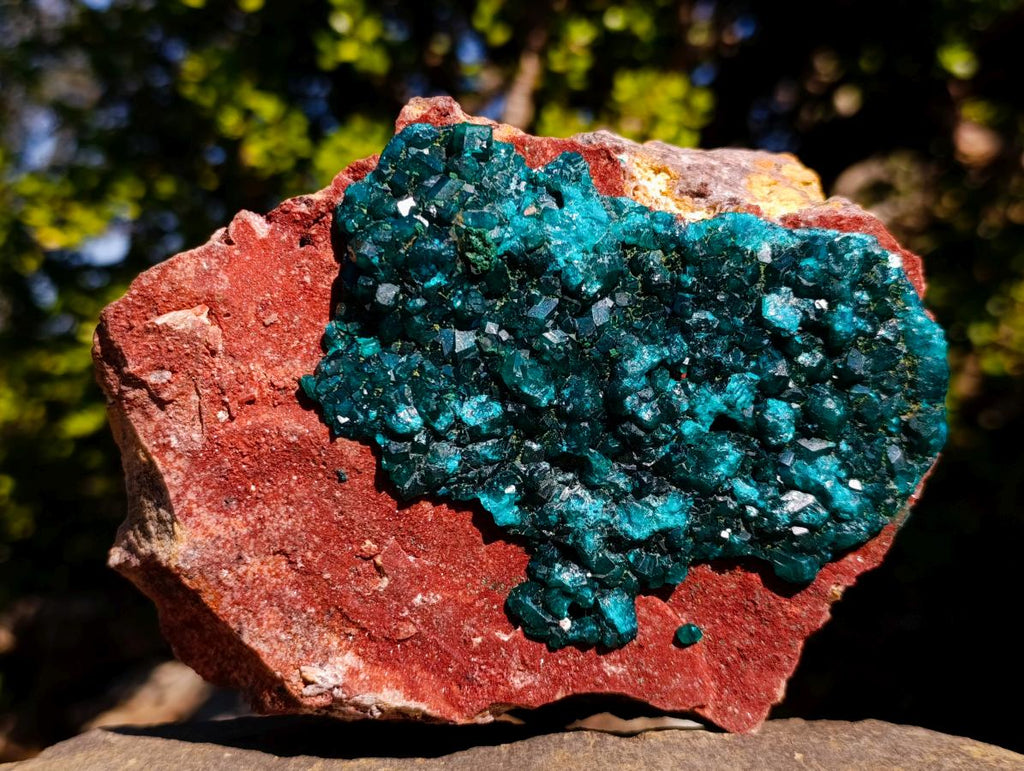 Natural Cabinet Size Dioptase on Red Dolomite Specimen x 1 From Mashamba East Mine, Congo - Toprock Gemstones and Minerals 