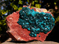 Natural Cabinet Size Dioptase on Red Dolomite Specimen x 1 From Mashamba East Mine, Congo - Toprock Gemstones and Minerals 