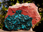 Natural Cabinet Size Dioptase on Red Dolomite Specimen x 1 From Mashamba East Mine, Congo - Toprock Gemstones and Minerals 