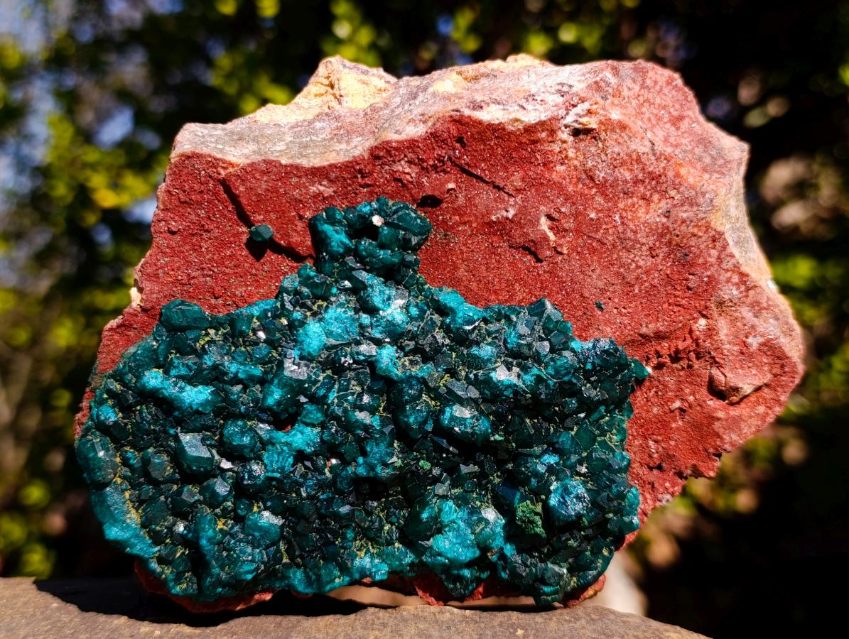 Natural Cabinet Size Dioptase on Red Dolomite Specimen x 1 From Mashamba East Mine, Congo - Toprock Gemstones and Minerals 