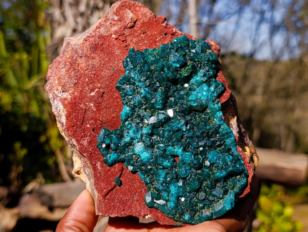 Natural Cabinet Size Dioptase on Red Dolomite Specimen x 1 From Mashamba East Mine, Congo - Toprock Gemstones and Minerals 