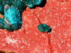 Natural Cabinet Size Dioptase on Red Dolomite Specimen x 1 From Mashamba East Mine, Congo - Toprock Gemstones and Minerals 