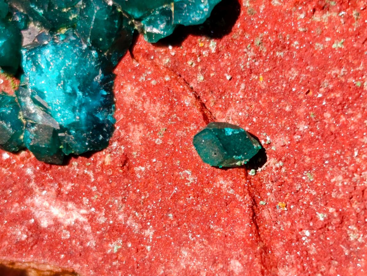Natural Cabinet Size Dioptase on Red Dolomite Specimen x 1 From Mashamba East Mine, Congo - Toprock Gemstones and Minerals 