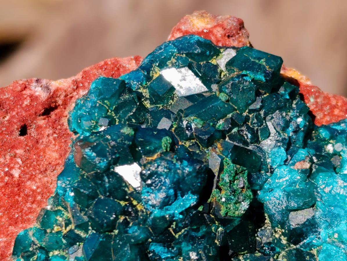 Natural Cabinet Size Dioptase on Red Dolomite Specimen x 1 From Mashamba East Mine, Congo - Toprock Gemstones and Minerals 