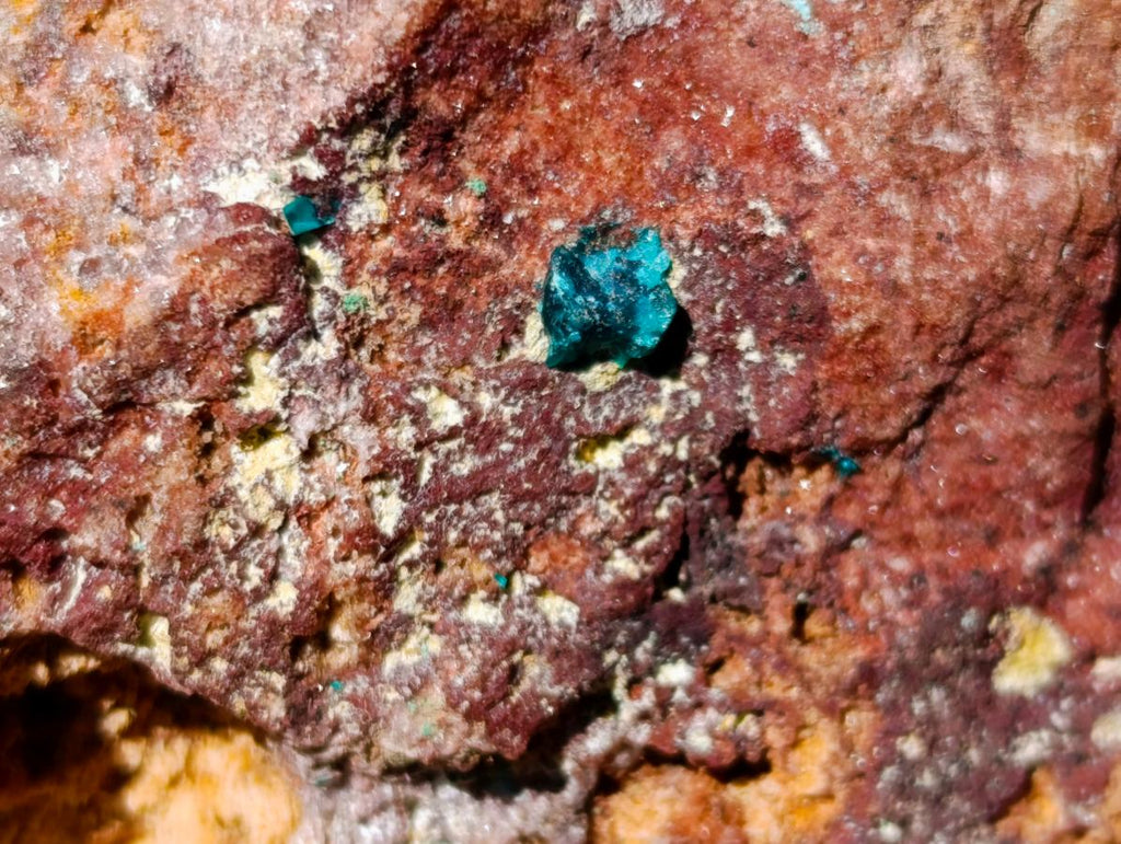 Natural Cabinet Size Dioptase on Red Dolomite Specimen x 1 From Mashamba East Mine, Congo - Toprock Gemstones and Minerals 