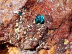 Natural Cabinet Size Dioptase on Red Dolomite Specimen x 1 From Mashamba East Mine, Congo - Toprock Gemstones and Minerals 