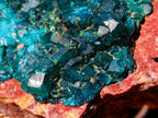 Natural Cabinet Size Dioptase on Red Dolomite Specimen x 1 From Mashamba East Mine, Congo - Toprock Gemstones and Minerals 