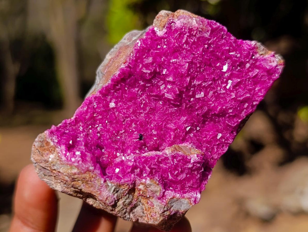 Natural Salrose Cobaltoan Dolomite Specimens with Chrysocolla and Heterogenite x 6 From Kakanda, Congo - Toprock Gemstones and Minerals 