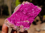 Natural Salrose Cobaltoan Dolomite Specimens with Chrysocolla and Heterogenite x 6 From Kakanda, Congo - Toprock Gemstones and Minerals 