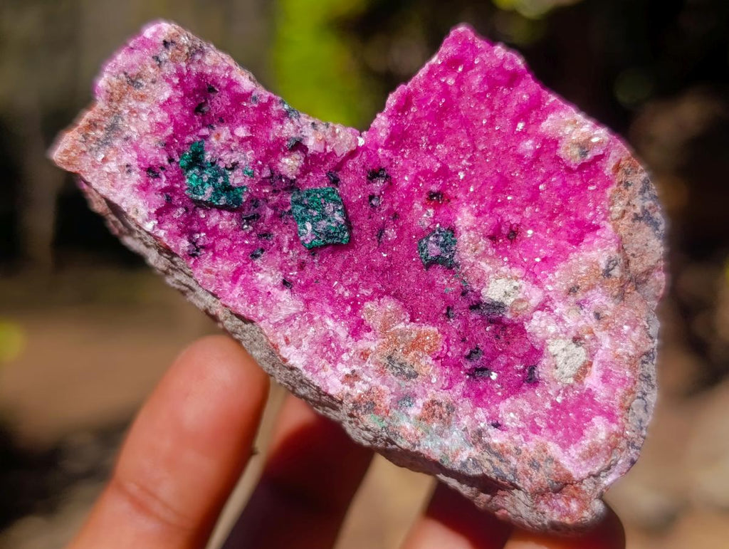 Natural Salrose Cobaltoan Dolomite Specimens with Chrysocolla and Heterogenite x 6 From Kakanda, Congo - Toprock Gemstones and Minerals 