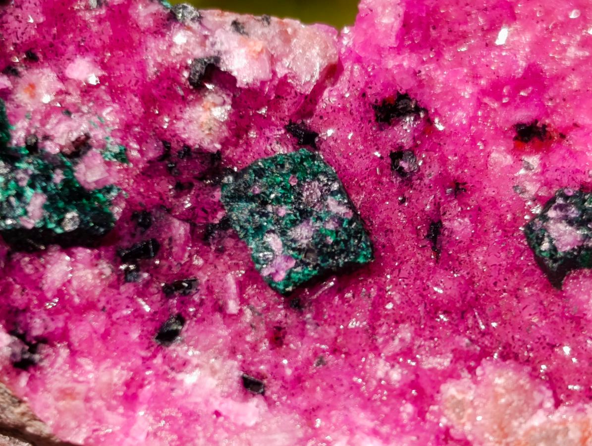 Natural Salrose Cobaltoan Dolomite Specimens with Chrysocolla and Heterogenite x 6 From Kakanda, Congo - Toprock Gemstones and Minerals 