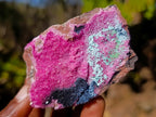 Natural Salrose Cobaltoan Dolomite Specimens with Chrysocolla and Heterogenite x 6 From Kakanda, Congo - Toprock Gemstones and Minerals 