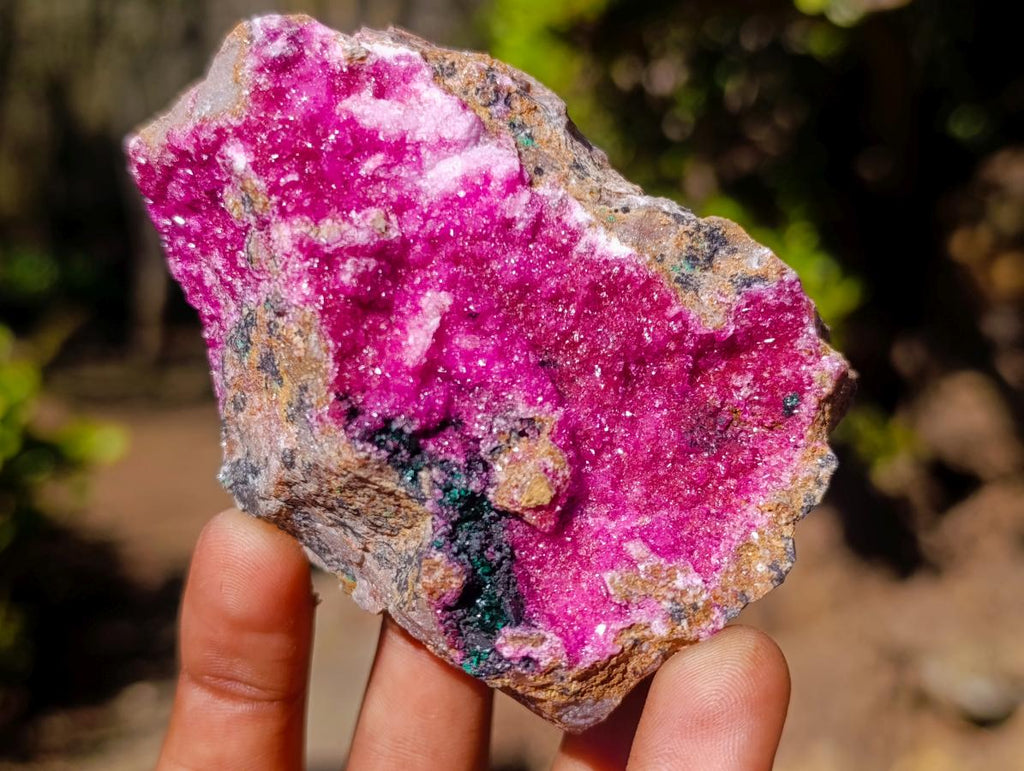Natural Salrose Cobaltoan Dolomite Specimens with Chrysocolla and Heterogenite x 6 From Kakanda, Congo - Toprock Gemstones and Minerals 