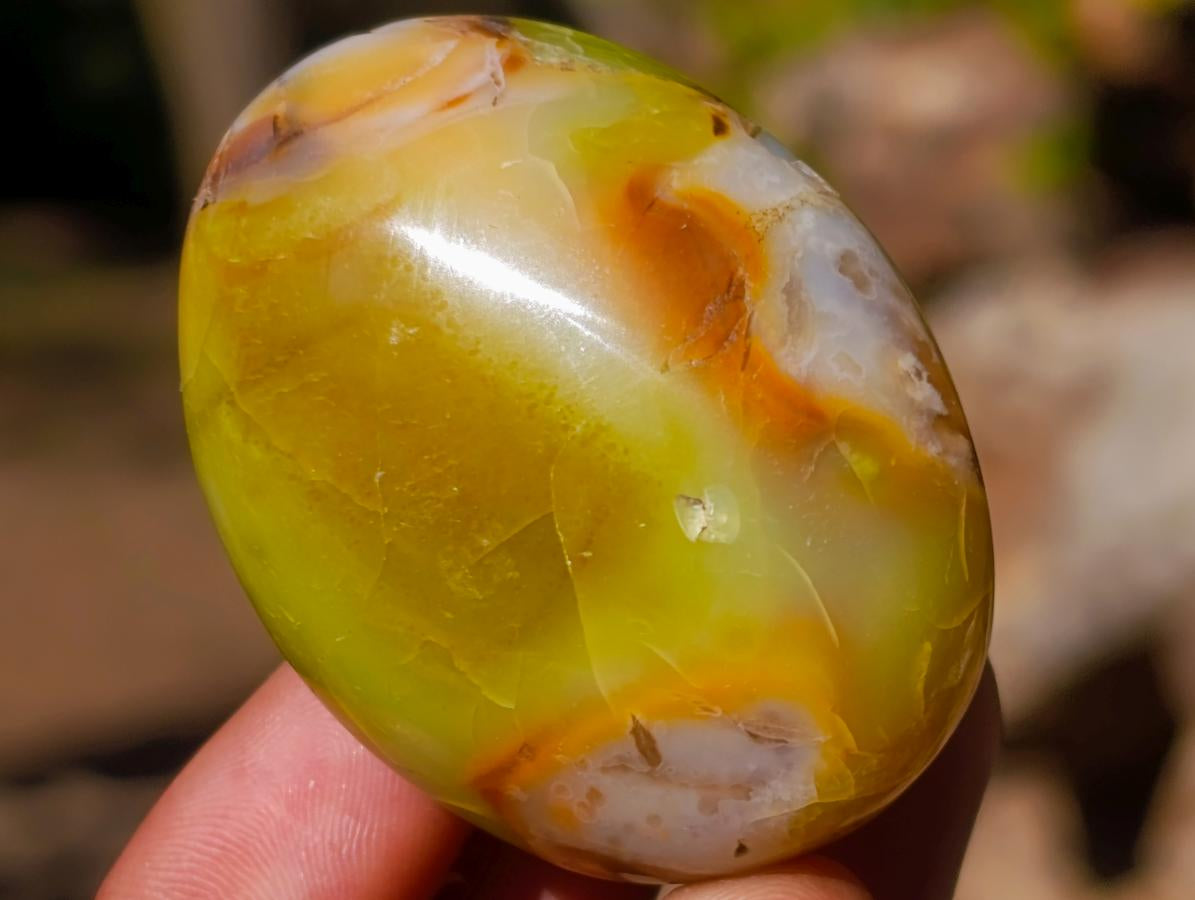 Polished Green Opal Palm Stones x 12 From Betroka, Madagascar - Toprock Gemstones and Minerals 