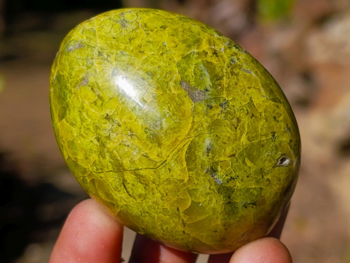 Polished Green Opal Palm Stones x 12 From Betroka, Madagascar - Toprock Gemstones and Minerals 