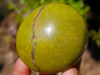 Polished Green Opal Palm Stones x 12 From Betroka, Madagascar - Toprock Gemstones and Minerals 