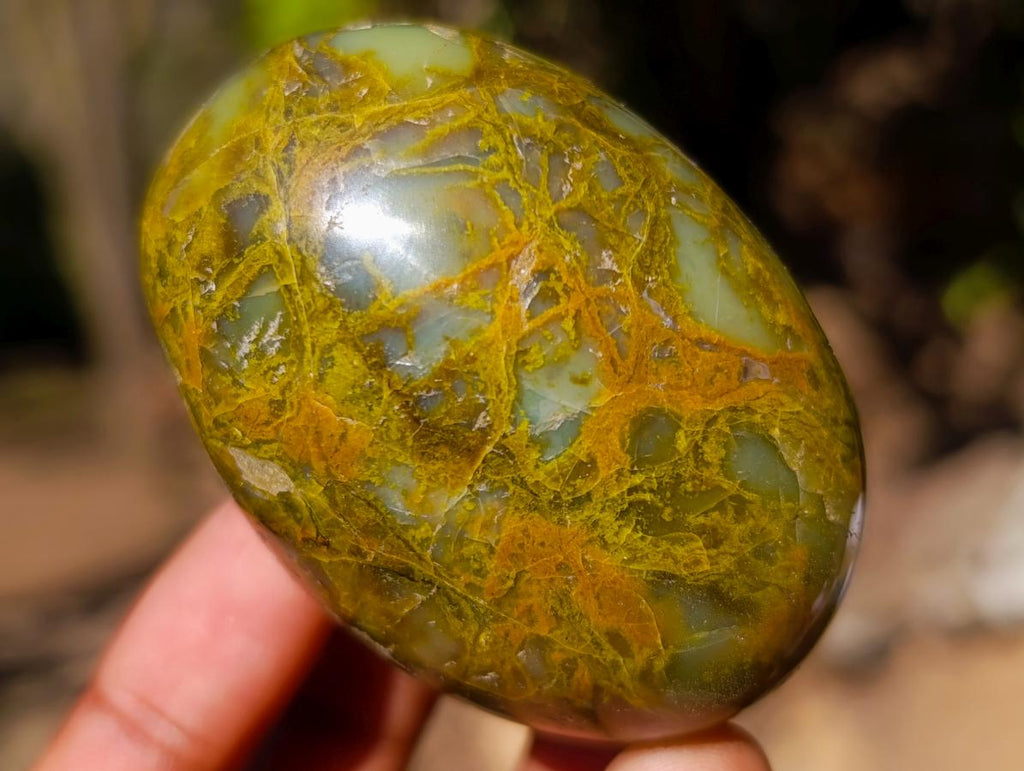 Polished Green Opal Palm Stones x 12 From Betroka, Madagascar - Toprock Gemstones and Minerals 