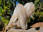 Natural XL Smokey Quartz Double Terminated Crystal with Associated Minerals x 1 From Zomba Plateau, Malawi - Toprock Gemstones and Minerals 