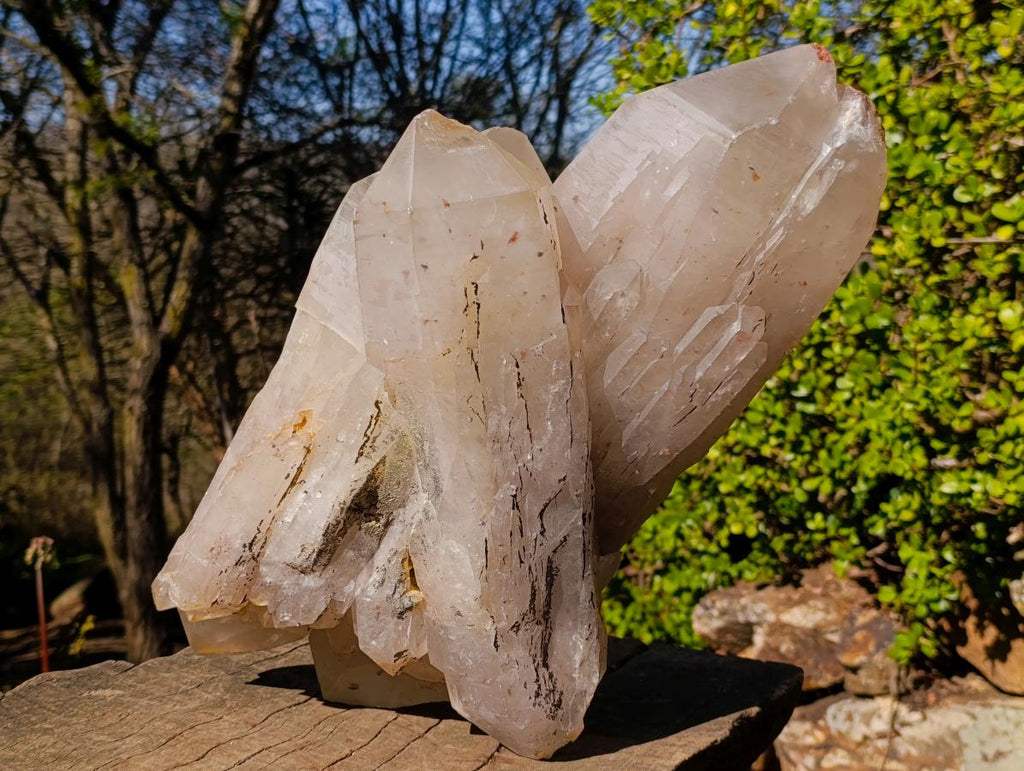 Natural XL Smokey Quartz Double Terminated Crystal with Associated Minerals x 1 From Zomba Plateau, Malawi - Toprock Gemstones and Minerals 