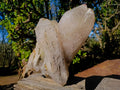 Natural XL Smokey Quartz Double Terminated Crystal with Associated Minerals x 1 From Zomba Plateau, Malawi - Toprock Gemstones and Minerals 