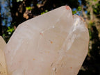 Natural XL Smokey Quartz Double Terminated Crystal with Associated Minerals x 1 From Zomba Plateau, Malawi - Toprock Gemstones and Minerals 