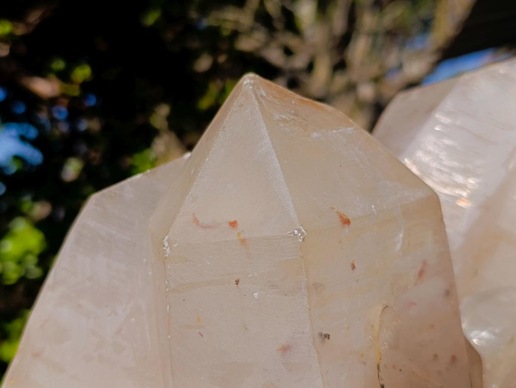 Natural XL Smokey Quartz Double Terminated Crystal with Associated Minerals x 1 From Zomba Plateau, Malawi - Toprock Gemstones and Minerals 