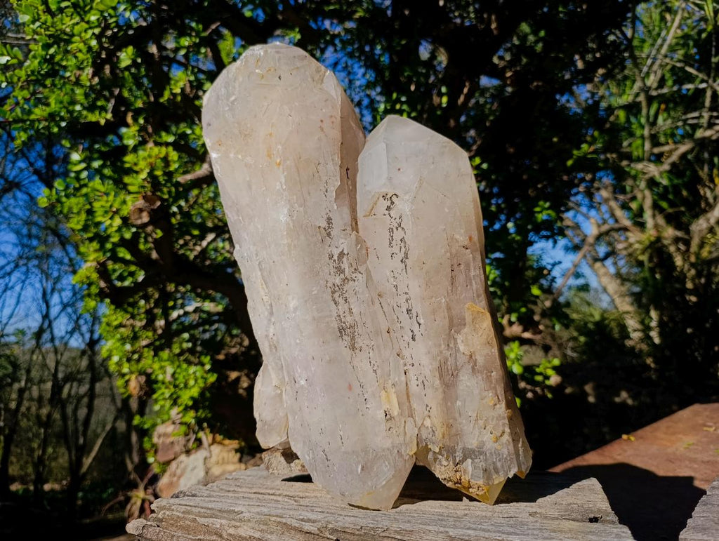 Natural XL Smokey Quartz Double Terminated Crystal with Associated Minerals x 1 From Zomba Plateau, Malawi - Toprock Gemstones and Minerals 