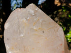 Natural XL Smokey Quartz Double Terminated Crystal with Associated Minerals x 1 From Zomba Plateau, Malawi - Toprock Gemstones and Minerals 