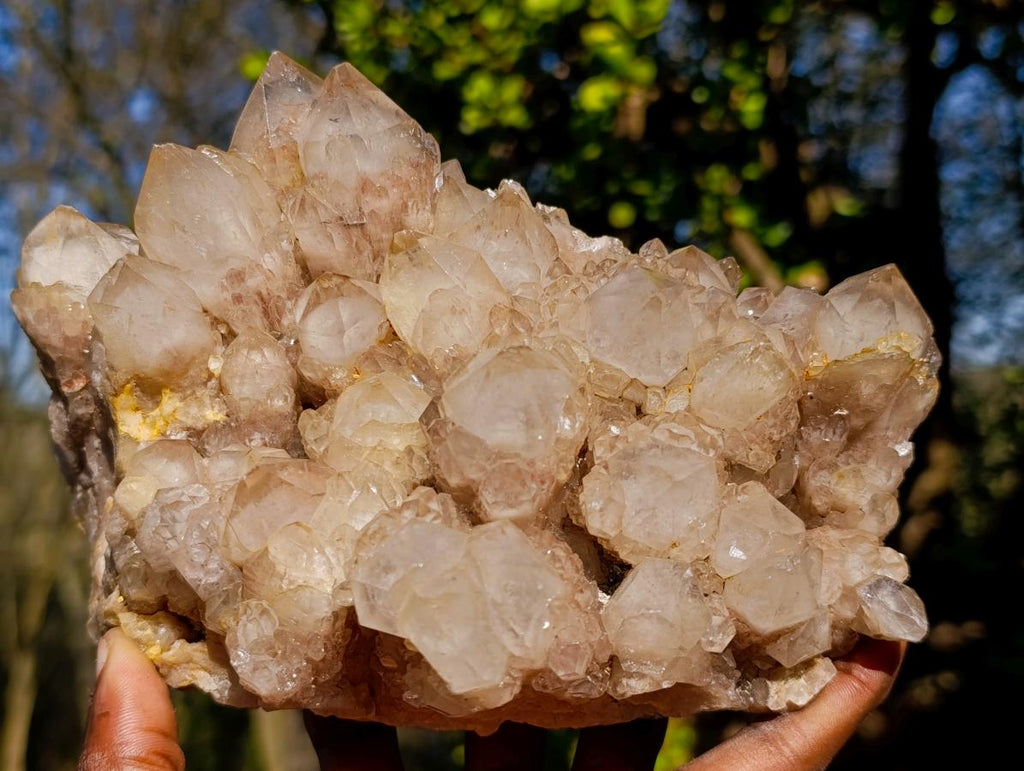 Natural Large Cascading White Phantom Smokey Luena Quartz Cluster x 1 From Luena, Congo - Toprock Gemstones and Minerals 