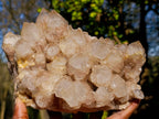 Natural Large Cascading White Phantom Smokey Luena Quartz Cluster x 1 From Luena, Congo - Toprock Gemstones and Minerals 