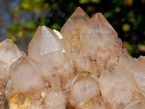 Natural Large Cascading White Phantom Smokey Luena Quartz Cluster x 1 From Luena, Congo - Toprock Gemstones and Minerals 