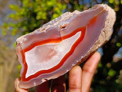 Polished Large One Side Red Shashe River Agate Nodules x 2 From Shashe River, Zimbabwe - Toprock Gemstones and Minerals 