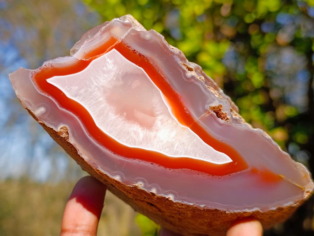 Polished Large One Side Red Shashe River Agate Nodules x 2 From Shashe River, Zimbabwe - Toprock Gemstones and Minerals 