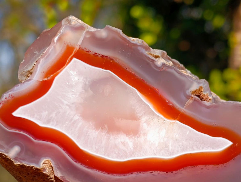 Polished Large One Side Red Shashe River Agate Nodules x 2 From Shashe River, Zimbabwe - Toprock Gemstones and Minerals 