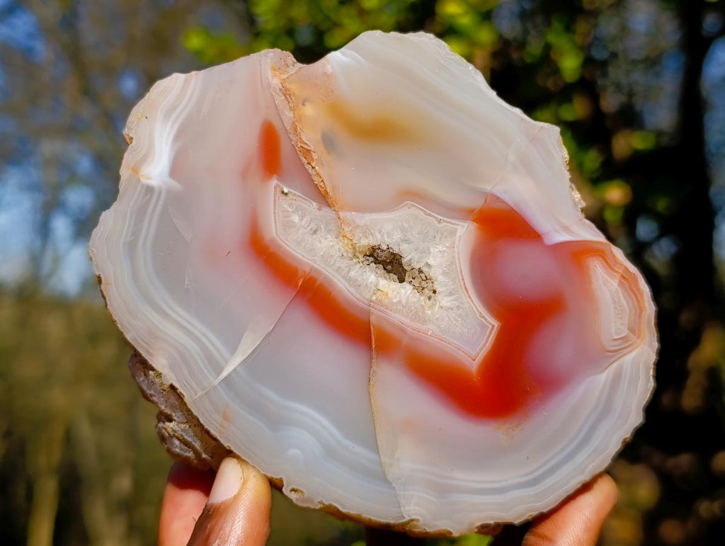 Polished Large One Side Red Shashe River Agate Nodules x 2 From Shashe River, Zimbabwe - Toprock Gemstones and Minerals 