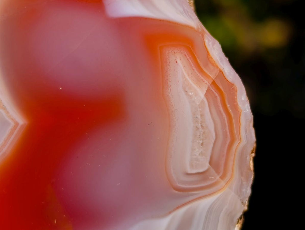 Polished Large One Side Red Shashe River Agate Nodules x 2 From Shashe River, Zimbabwe - Toprock Gemstones and Minerals 