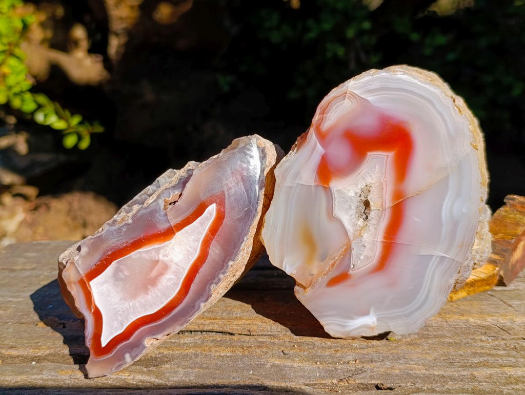 Polished Large One Side Red Shashe River Agate Nodules x 2 From Shashe River, Zimbabwe - Toprock Gemstones and Minerals 