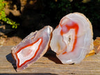 Polished Large One Side Red Shashe River Agate Nodules x 2 From Shashe River, Zimbabwe - Toprock Gemstones and Minerals 