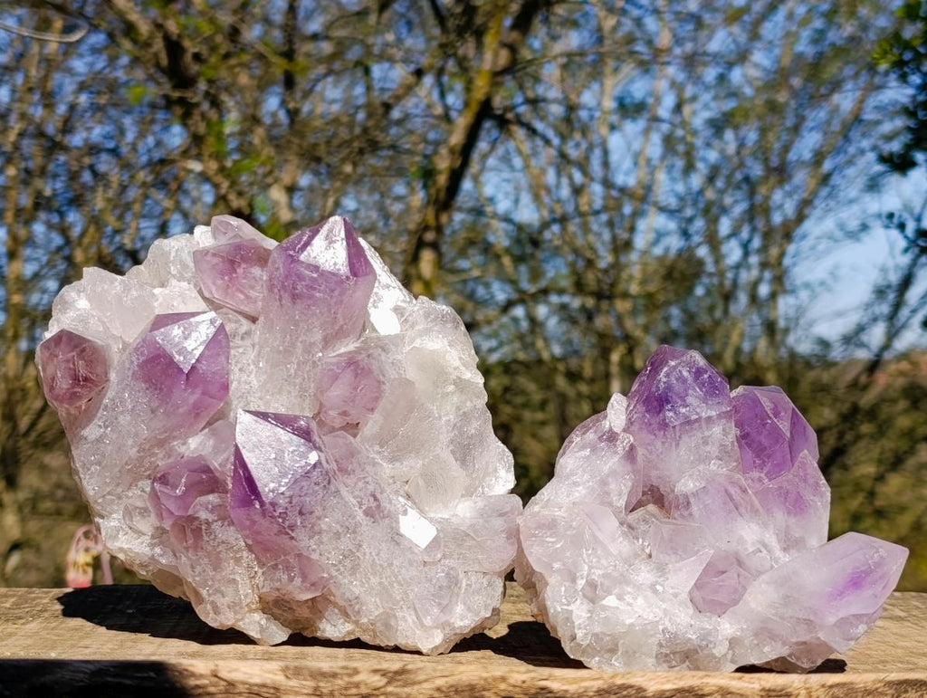 Natural Jacaranda Amethyst Crystal Clusters x 2 From Mumbwa, Zambia - Toprock Gemstones and Minerals 