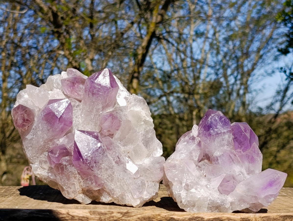 Natural Jacaranda Amethyst Crystal Clusters x 2 From Mumbwa, Zambia - Toprock Gemstones and Minerals 