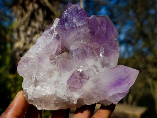Natural Jacaranda Amethyst Crystal Clusters x 2 From Mumbwa, Zambia - Toprock Gemstones and Minerals 