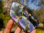 Polished Spectrolite Labradorite Standing Display Pieces x 7 From Madagascar - Toprock Gemstones and Minerals 