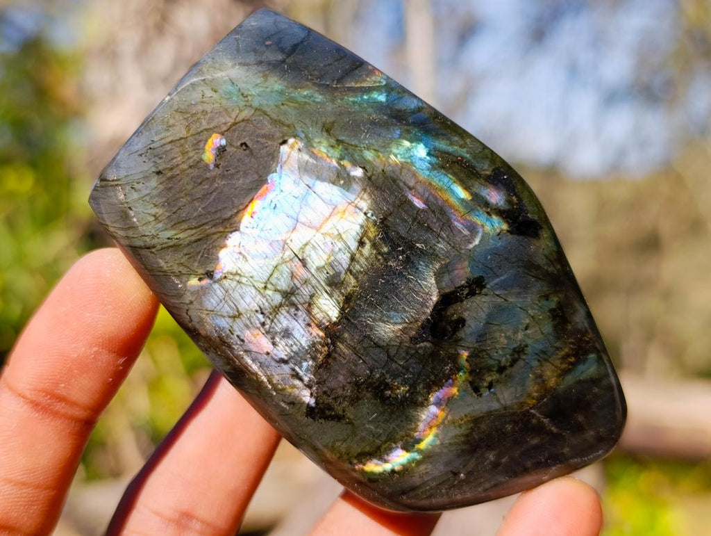 Polished Spectrolite Labradorite Standing Display Pieces x 7 From Madagascar - Toprock Gemstones and Minerals 