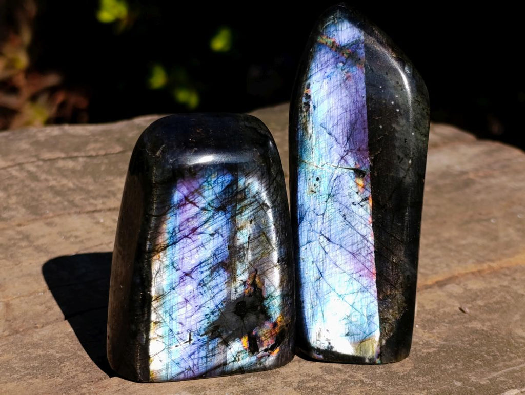 Polished Spectrolite Labradorite Standing Display Pieces x 7 From Madagascar - Toprock Gemstones and Minerals 