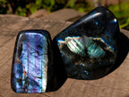 Polished Spectrolite Labradorite Standing Display Pieces x 7 From Madagascar - Toprock Gemstones and Minerals 