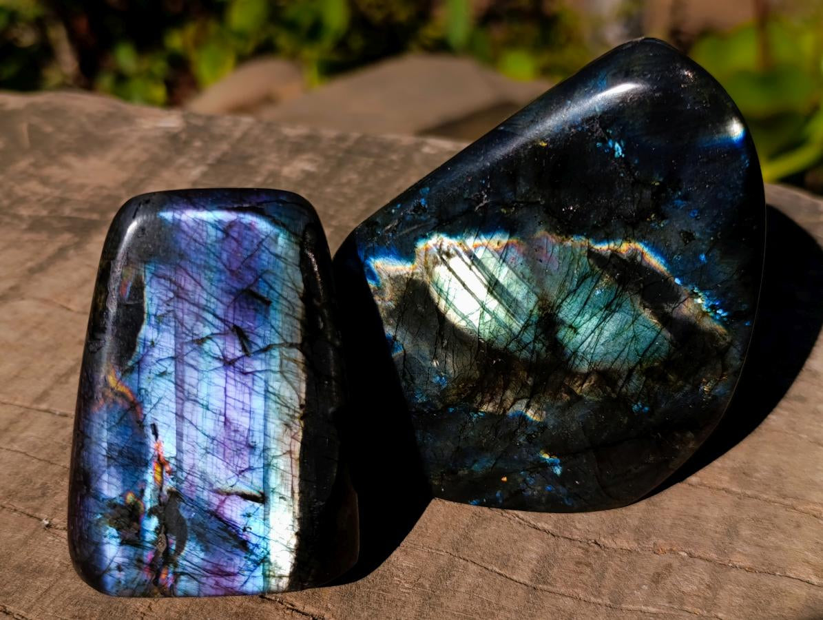 Polished Spectrolite Labradorite Standing Display Pieces x 7 From Madagascar - Toprock Gemstones and Minerals 