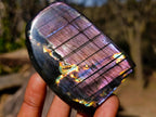 Polished Spectrolite Labradorite Standing Display Pieces x 7 From Madagascar - Toprock Gemstones and Minerals 