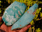 Polished One Side Mtorolite Chrysoprase Slices x 12 From Mutorashanga, Zimbabwe - Toprock Gemstones and Minerals 