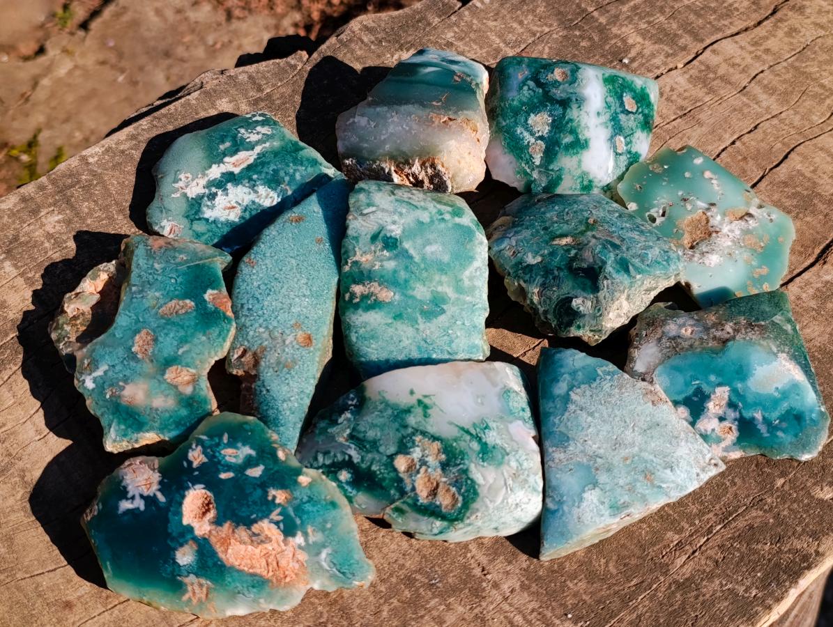 Polished One Side Mtorolite Chrysoprase Slices x 12 From Mutorashanga, Zimbabwe - Toprock Gemstones and Minerals 
