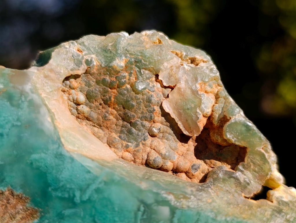 Polished One Side Mtorolite Chrysoprase Slices x 12 From Mutorashanga, Zimbabwe - Toprock Gemstones and Minerals 